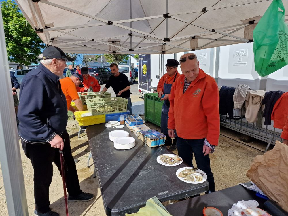 Dégustation d'huîtres naturelles