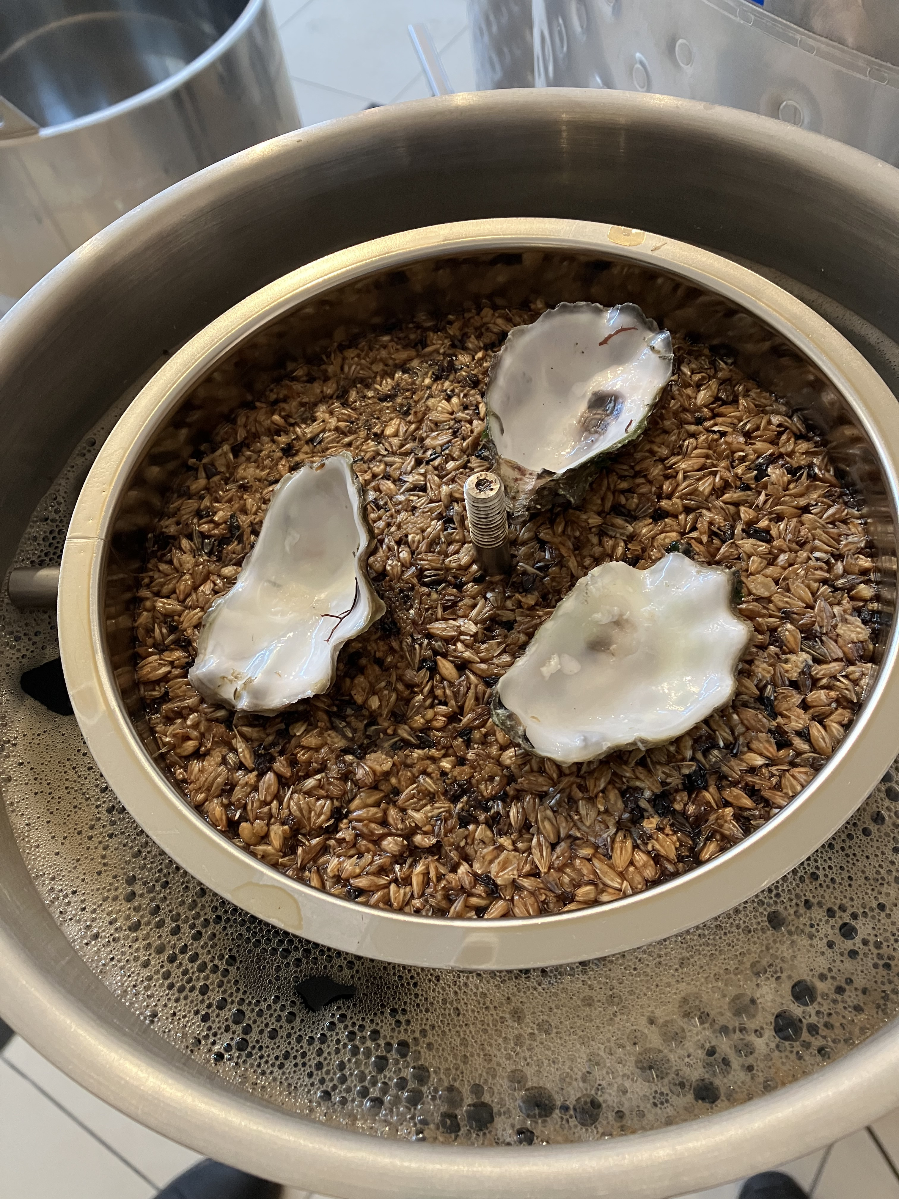 Fabrication de l'Oyster Stout, bière brune à base d'huîtres