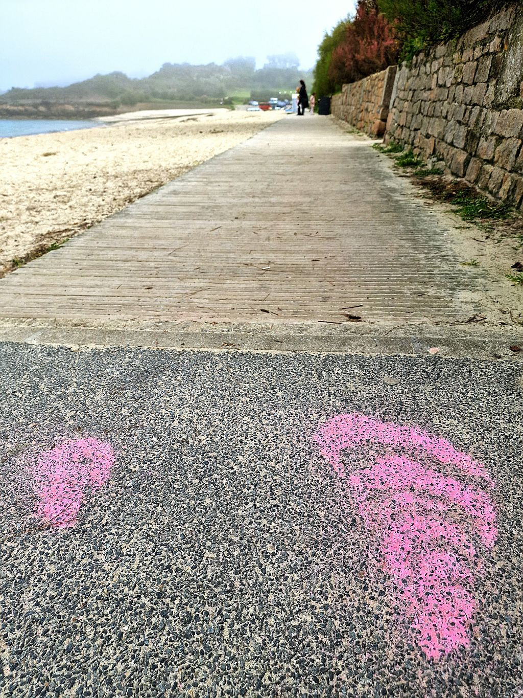 Sur les pas de la fête de l'Huître de la Baie de Morlaix