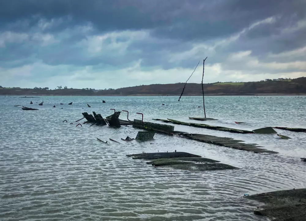 Tempête Ciaran - Parcs abimés