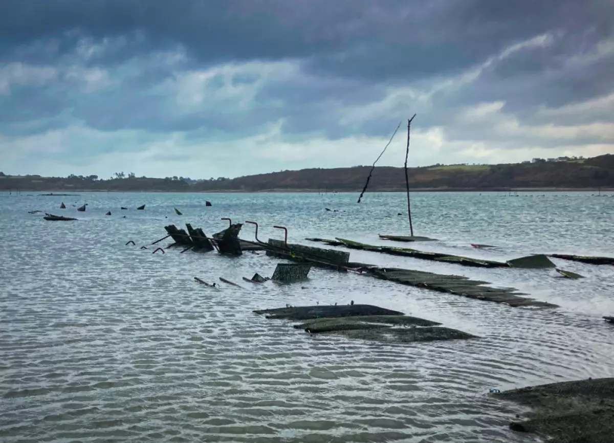 La tempête Ciaran et l'ostréiculture en Baie de Morlaix