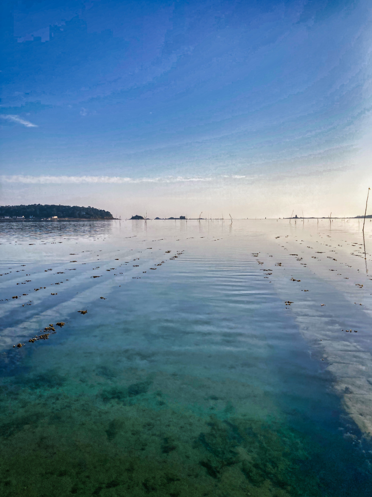 Les parcs à huîtres de la Baie de Morlaix