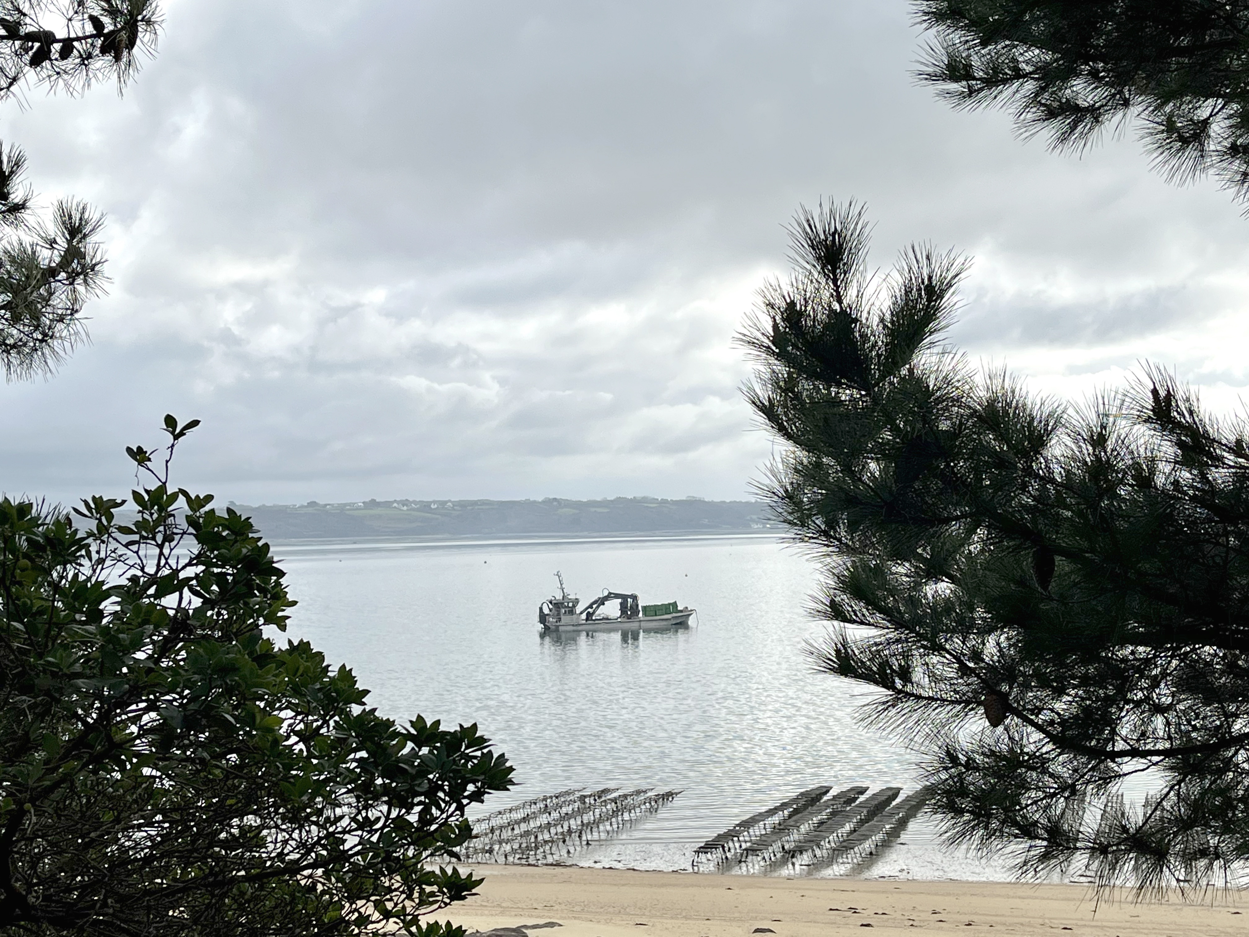 Point de vue sur les tables et dragueurs de Carantec