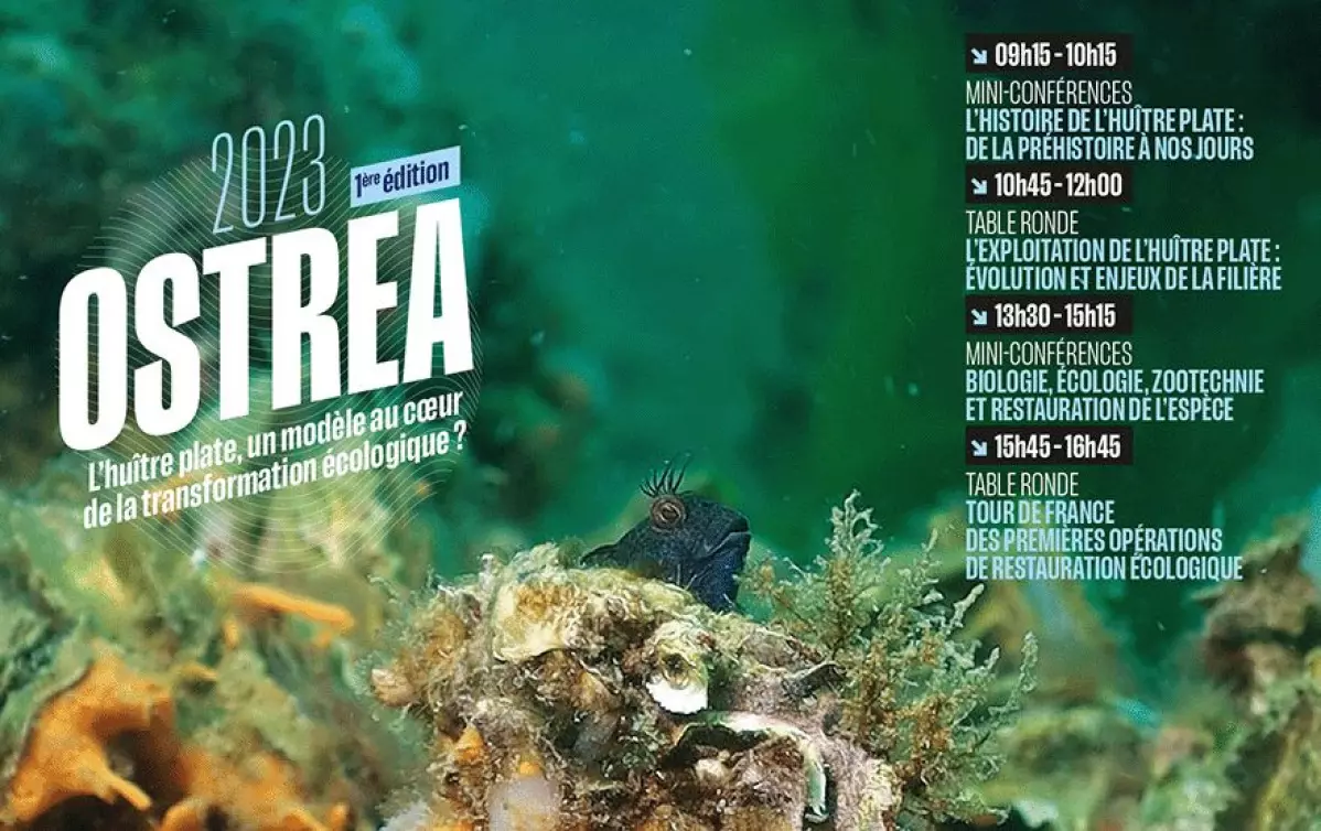 Ostrea 2023 - le 8 septembre à Brest