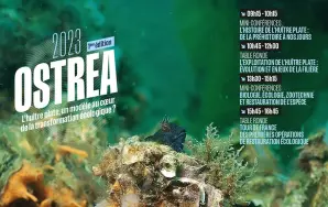 Ostrea 2023 - le 8 septembre à Brest