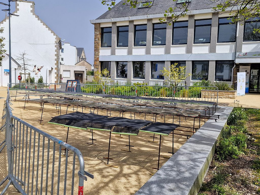 Poches devant la Mairie