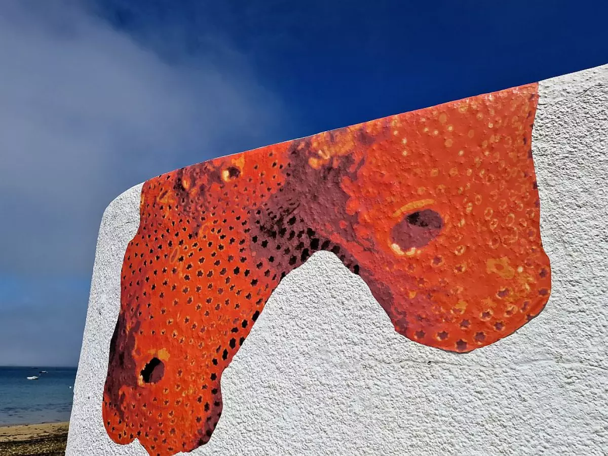Street Art au Port