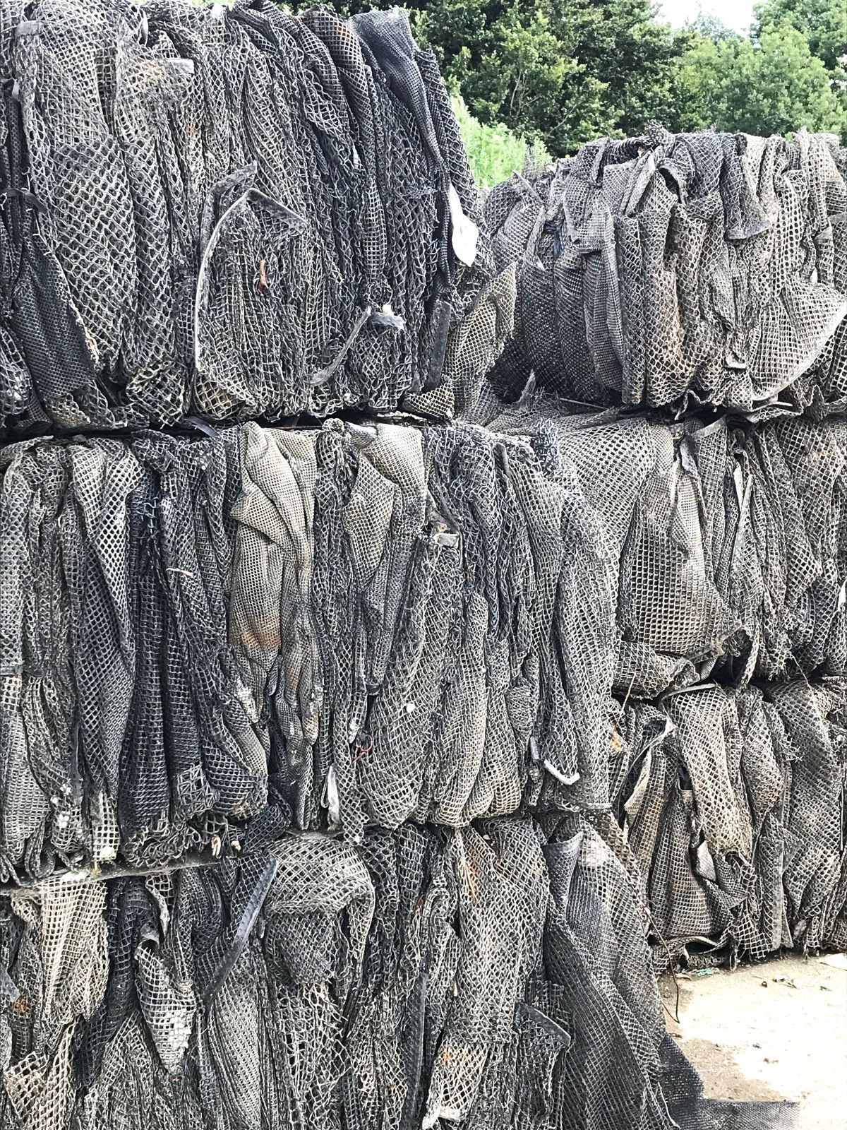 Poches à huîtres collectées pour recyclage