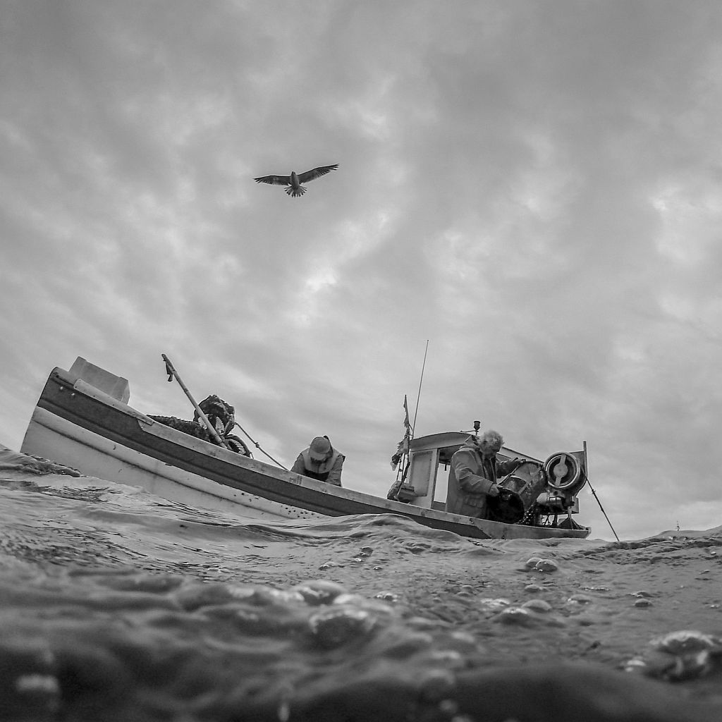 Denis Rohou bateau_2 1000px